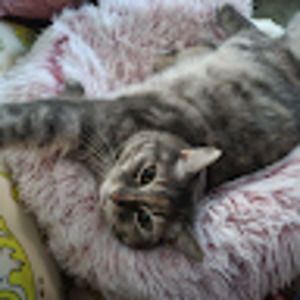 Meet your Posher, Rosalyn maniti